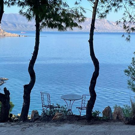 Вілла Pines & Sea Софікон Екстер'єр фото